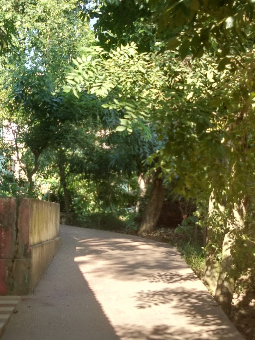 The Approach